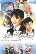 二十集电视连续剧-小留学生(7片装)DVD