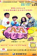 AA制生活(6碟装)DVD