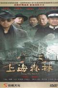 上海森林-大型电视连续剧(十四碟装)DVD
