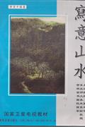 学习中国画-写意山水(3碟装)DVD