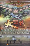 特种兵火凤凰-2013最具中国力量电视剧(16碟装)DVD